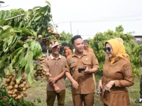 Wabup Sidoarjo, Mimik Idayana saat meninjau lahan Tanah Kas Desa (TKD) di desa Tulangan (foto: ist)