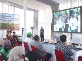 Bupati Malang, HM Sanusi saat tanam perdana bongkar ratoon tebu (Prokopim)