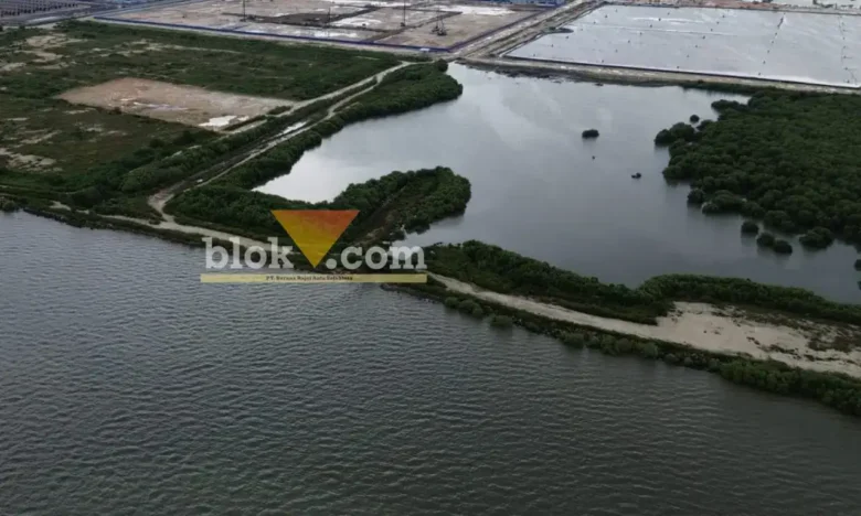 Lokasi dugaan Pelanggaran PKKPRL KEK JIIPE Manyar Gresik Masuk Tahap Supervisi (foto: Blok-a.com/Ivan)