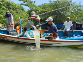 Tim susur pesisir laut Ecoton mengambil sampel air laut disekitar perairan Manyarerjo hingga Mengare Gresik (foto: Blok-a.com/Ivan)