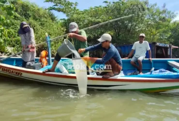 Tim susur pesisir laut Ecoton mengambil sampel air laut disekitar perairan Manyarerjo hingga Mengare Gresik (foto: Blok-a.com/Ivan)