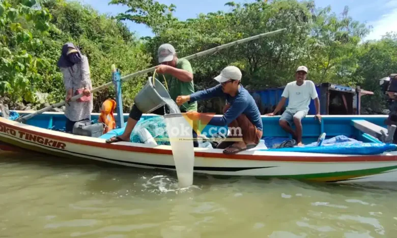 Tim susur pesisir laut Ecoton mengambil sampel air laut disekitar perairan Manyarerjo hingga Mengare Gresik (foto: Blok-a.com/Ivan)