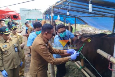 Wali Kota Malang, Wahyu Hidayat saat memberi stiker tanda hewan kurban dinyatakan sehat (blok-a.com / Yogga Ardiawan)