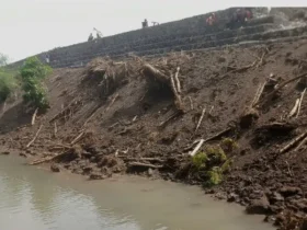 Disposal pembangunan Sekolah Rakyat di Banyuwangi yang diadukan oleh elemen masyarakat (foto: istimewa)