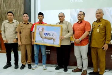Hilirisasi Produk Peternakan Kambing dan Domba Dinas Pertanian kabupaten Gresik (foto: istimewa)