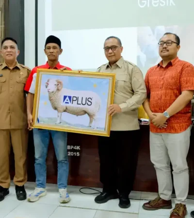 Hilirisasi Produk Peternakan Kambing dan Domba Dinas Pertanian kabupaten Gresik (foto: istimewa)