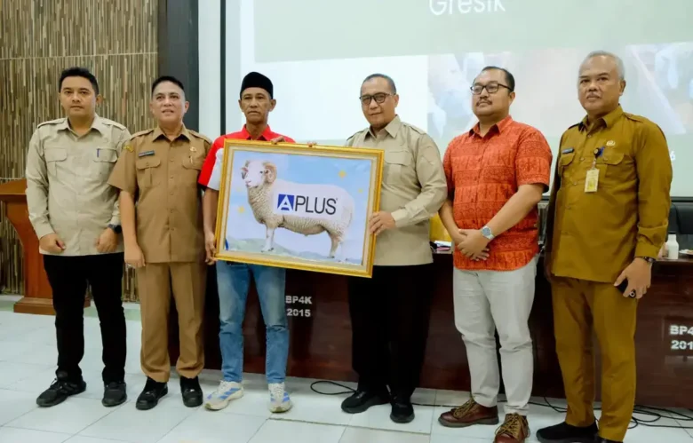 Hilirisasi Produk Peternakan Kambing dan Domba Dinas Pertanian kabupaten Gresik (foto: istimewa)