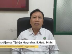 Lagi, TNBTS Amankan 13 Pendaki Ilegal Gunung Semeru, Empat Orang Masih Diburu