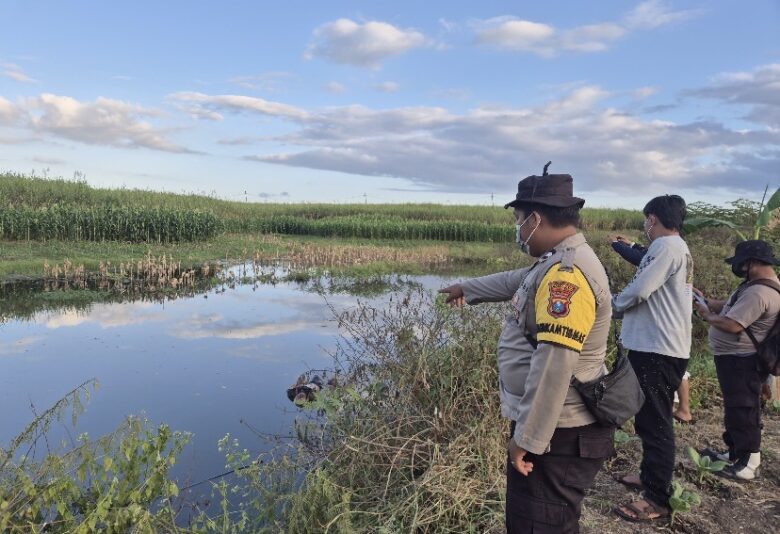 Caption : Anggota Polsek Siliragung saat lakukan evakuasi mayat Mr X yang ditemukan mengambang di aliran sungai Curah Gulung, Desa Seneporejo, Sabtu (20/6/2026)(blok-a.com/Kuryanto).