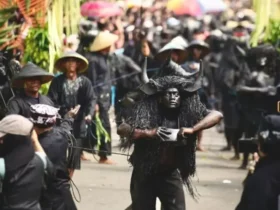 Puluhan Kebo-keboan saat ider bumi mengelilingi desa dengan arah empat penjuru arah mata angin, Minggu (28/06/2026) (foto: Blok-a.com/Istimewa)
