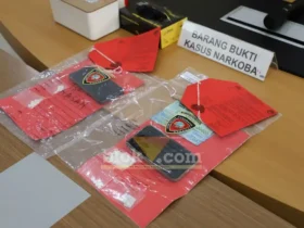 Puluhan pil double L yang diamankan kepolisian (foto: Blok-a.com/Ananda)