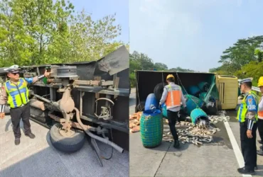 Truk muatan ikan segar yang mengalami kecelakaan di ruas tol JoMo (Dokumen PJR 3 Polda Jatim)