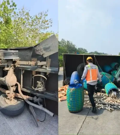 Truk muatan ikan segar yang mengalami kecelakaan di ruas tol JoMo (Dokumen PJR 3 Polda Jatim)