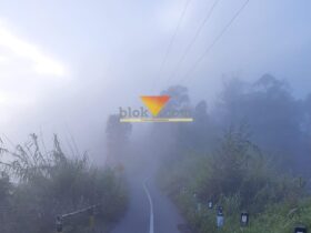 Fenomena bediding mulai landa Kota Malang (blok-a.com / Yogga Ardiawan)
