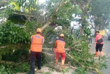 BPBD Kabupaten Malang Catat 232 Kejadian Bencana pada Semester I 2026 (Istimewa)