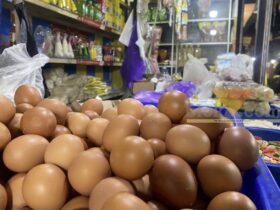 DPRD Kota Malang Wanti-wanti Lonjakan Harga Pangan saat MBG Aktif Lagi