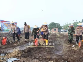Kapolres Mojokerto AKBP Andi Yudha Pranata ikut menanam jagung di lahan tanah kas Desa Kalipuro (foto: Blok-a.com/Syahrul Wijaya)
