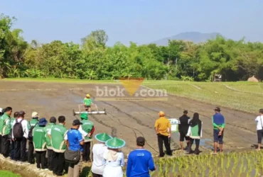 Tim gabungan Dinas TPHP saat melakukan Gertam PM-AAS bersama Gapoktan Krowe Lembeyan (foto: Blok-a.com/Nanda Bagus)