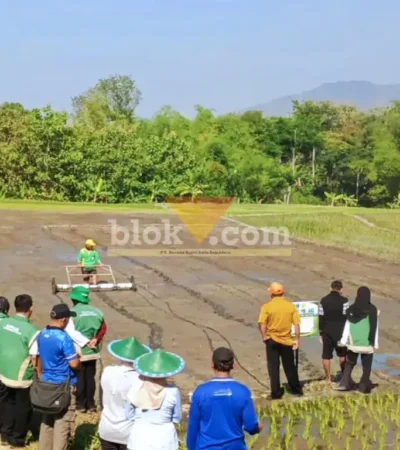 Tim gabungan Dinas TPHP saat melakukan Gertam PM-AAS bersama Gapoktan Krowe Lembeyan (foto: Blok-a.com/Nanda Bagus)