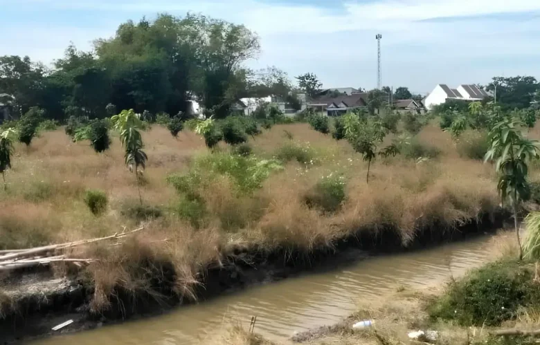 Eco Agro Business Terpadu (EABT) pada lahan milik desa seluas 3 hektare di RT 9 RW 3 Desa Suwaluh, Kec. Balungbendo, Sidoarjo (foto: istimewa)