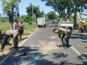 Piket Lantas Satlantas Polresta Banyuwangi saat lakukan olah TKP dua laka lantas di dua tempat berbeda yang masing-masing menelan satu korban jiwa, Minggu-Senin (09-10/08/2026) (foto: Blok-a.com/Kuryanto)