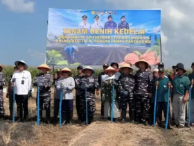 Wakil Bupati Banyuwangi Mujiono bersama TNI dan petani saat tanam kedelai secara simbolis (foto: istimewa)