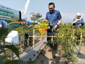 Direktur Keuangan dan Umum Petrokimia Gresik, Adityo Wibowo dalam kegiatan Pestani Rawit Groo Festival (blok-a.com / Yogga Ardiawan)