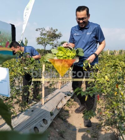 Direktur Keuangan dan Umum Petrokimia Gresik, Adityo Wibowo dalam kegiatan Pestani Rawit Groo Festival (blok-a.com / Yogga Ardiawan)