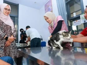 Bupati Ipuk tinjau RSH Banyuwangi yang kini sudah dilengkapi Unit Layanan Khusus Penyakit Dalam dan Bedah Hewan. (Foto: dok Humas Pemkab)