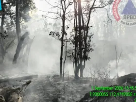 Kebakaran di lereng Gunung Buthak, Kota Batu, Rabu (2/9/2026) (foto: istimewa)