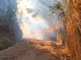 Imbas kebakaran hutan, BBKSDA Jatim tutup jalur pendakian TWA Kawah Ijen (foto: Istimewa)