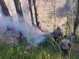 Karhutla Bromo hari kedua, titik api di Jemplang sulit dipadamkan karena medan curam (foto: dok. Polres Malang)