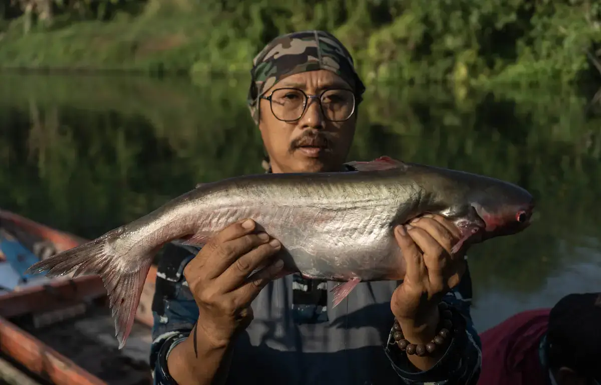 Dampak Parah Pencemaran Limbah, 80 Persen Ikan di Kali Surabaya Berkelamin Betina