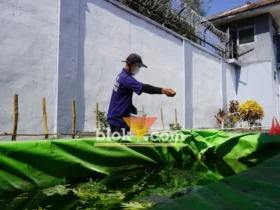 Salah satu budidaya ikan guna memperkuat ketahanan pangan rutan magetan (foto: blok-a.com/Nanda Bagoes)