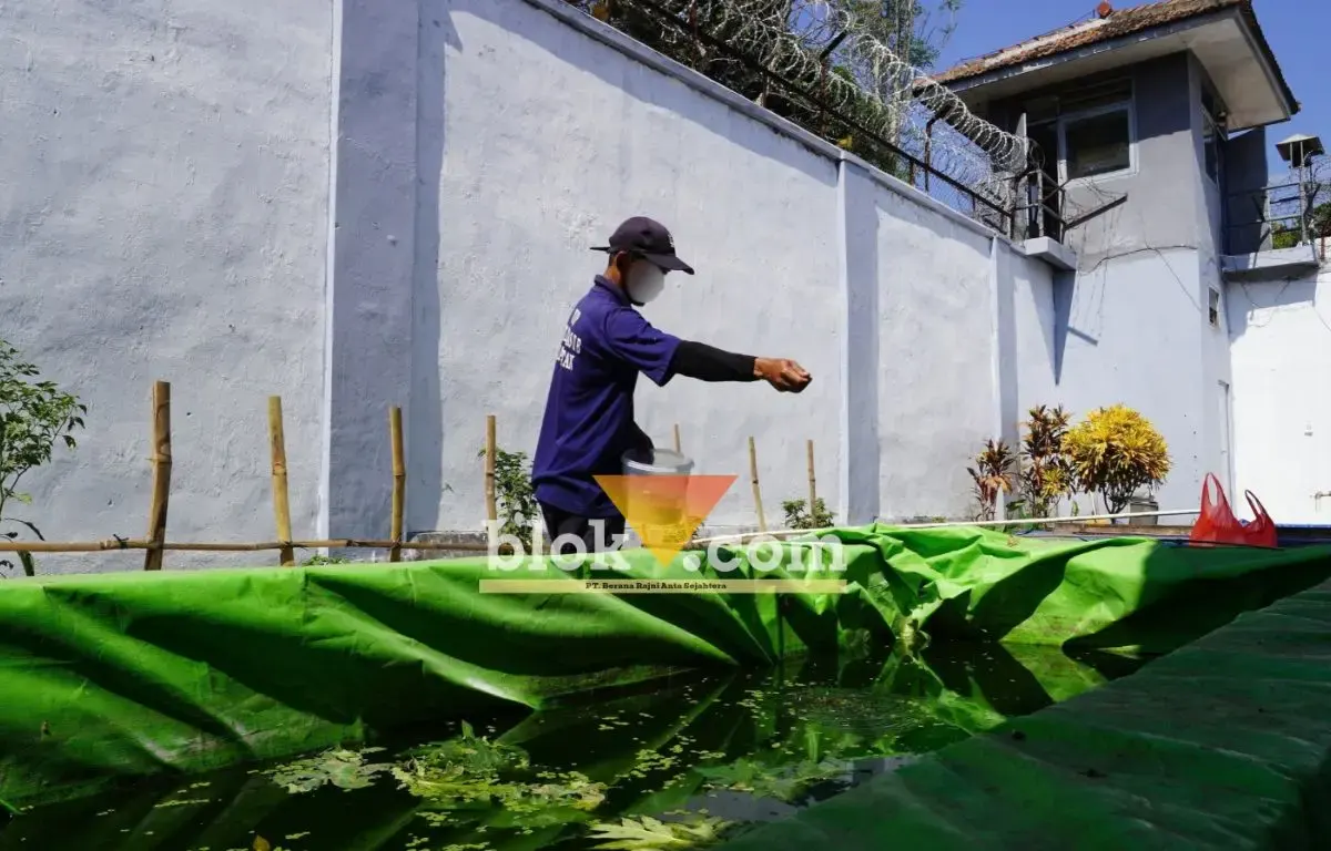 Dari Balik Jeruji, Warga Binaan Rutan Magetan Belajar Budidaya Ikan dan Ternak