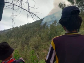 Titik api yang masih terlihat di Gunung Kawi, Kabupaten Malang (BPBD Kabupaten Malang)