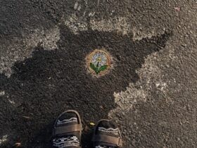 Foto karya Ivan asal Kota Malang yang memanfaatkan jalan berlubang (istimewa)