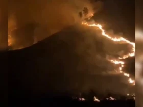 Tangkapan layar kebakaran di kawasan Savana Bromo (foto: istimewa)