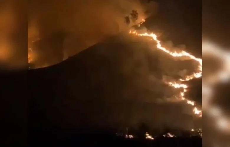 Tangkapan layar kebakaran di kawasan Savana Bromo (foto: istimewa)