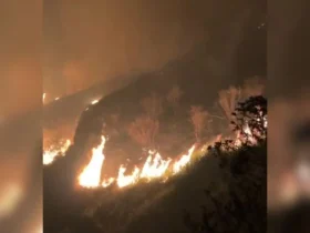 57 Titik panas terdeteksi di Tahura R Soerjo Malang, pemadaman terkendala medan curam (foto: tangkapan layar)