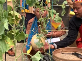Bupati Malang, HM Sanusi dorong sekolah berbasis ketahanan pangan, hasil panen dibagikan ke siswa (foto: blok-a.com / Yogga Ardiawan)
