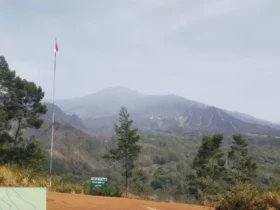Hujan deras padamkan api di Tahura R Soerjo, luas lahan terbakar capai 816 hektare (BPBD Kabupaten Malang)