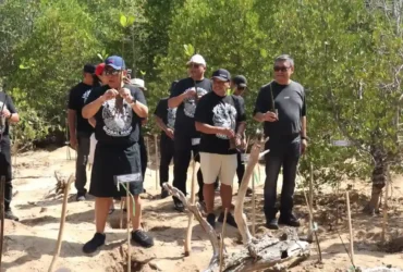 Konservasi mangrove di CMC Tiga Warna sasar 10,5 hektare per tahun (foto: istimewa)