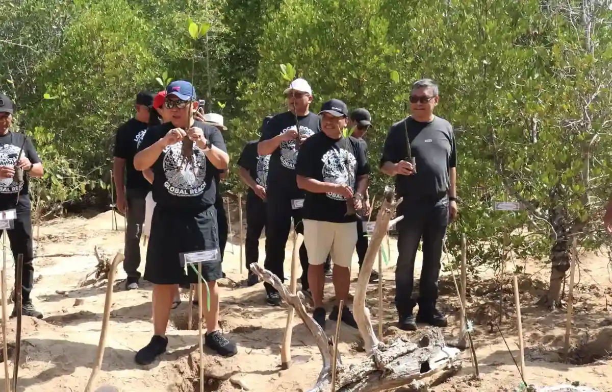 Konservasi Mangrove di CMC Tiga Warna Sasar 10,5 Hektare per Tahun