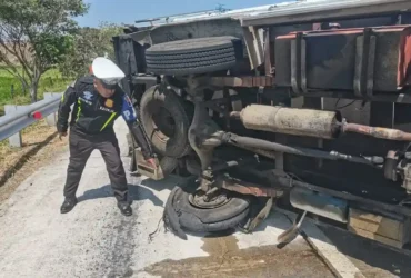 Truk muatan sapi yang mengalami kecelakaan tunggal di ruas tol JoMo.(Foto: PJR 3 Polda Jatim)