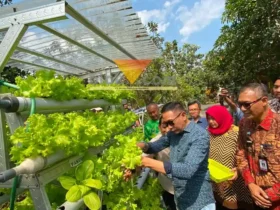 Wali Kota Malang, Wahyu Hidayat saat meninjau hasil program RT berkelas di perumahan PCP, Kedungkandang (foto: blok-a.com / Yogga Ardiawan)